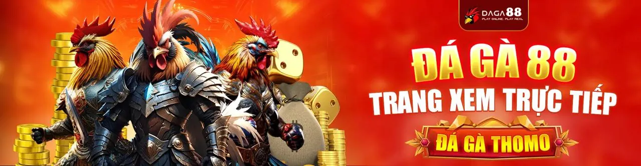 Hỗ trợ khách hàng New66 và giải đáp thắc mắc