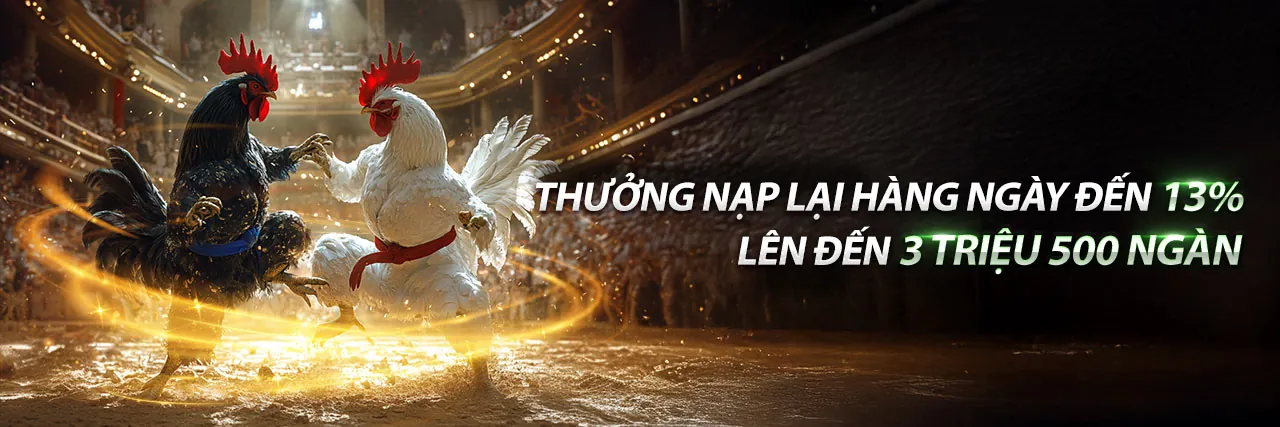 Đá Gà Trực Tuyến New66
