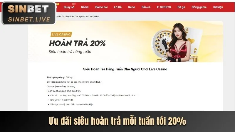 Hoàn trả thể thao và casino new66